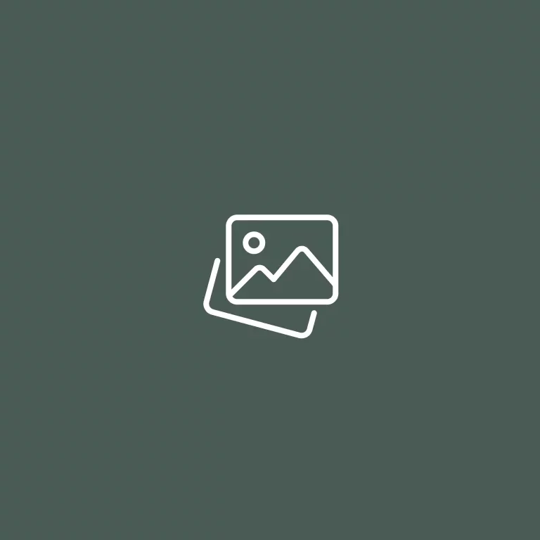 search-placeholder.webp